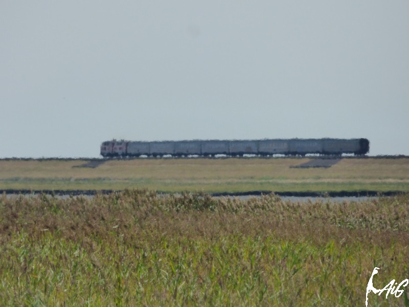 Sylt_Insel_002.jpg