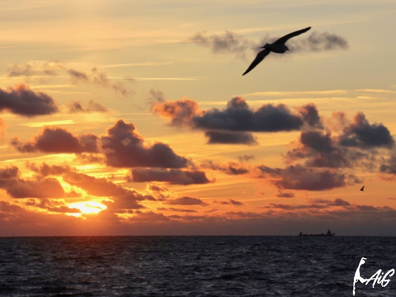 Sylt_Insel_010.jpg