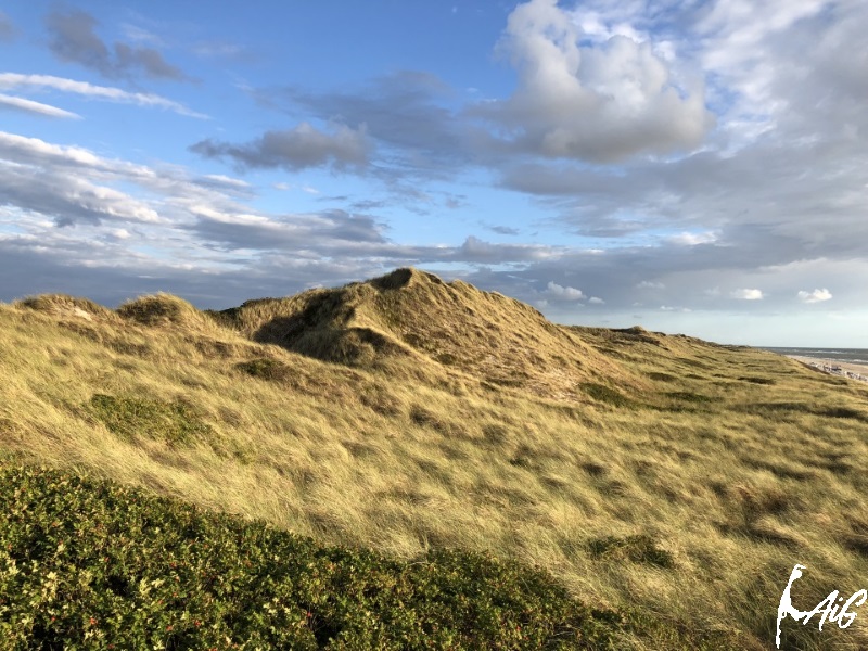 Sylt_Insel_011.jpg