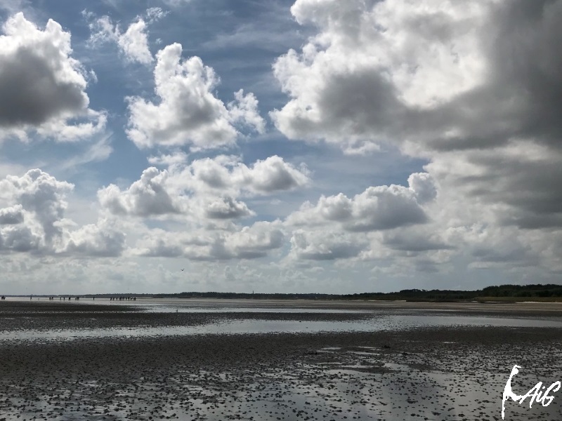 Sylt_Insel_017.jpg