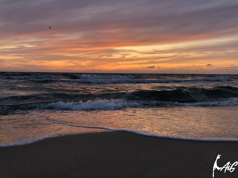 Sylt_Insel_021.jpg