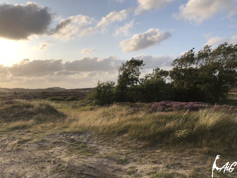 Sylt_Insel_029.jpg