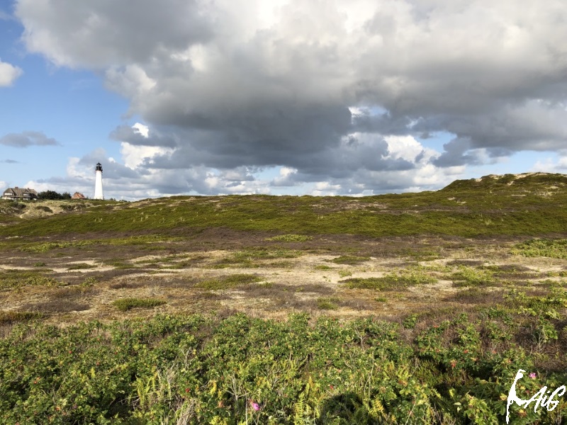 Sylt_Insel_035.jpg
