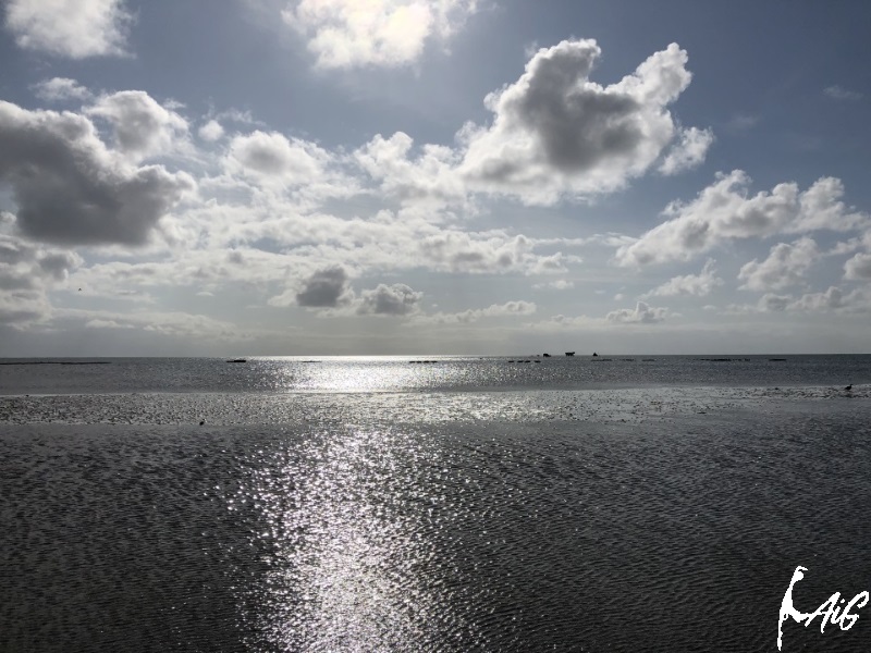 Sylt_Insel_041.jpg