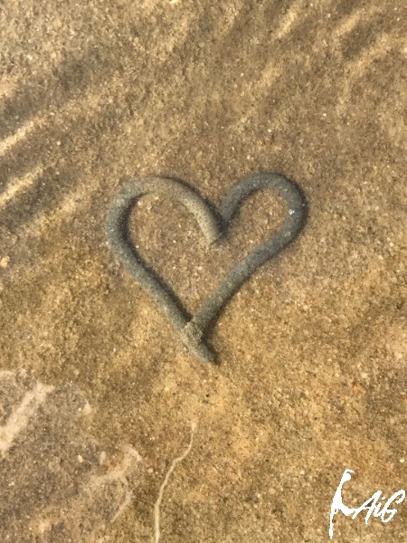 Sylt_Insel_hoch_001.jpg