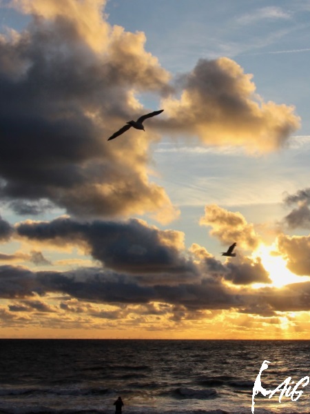 Sylt_Insel_hoch_004.jpg